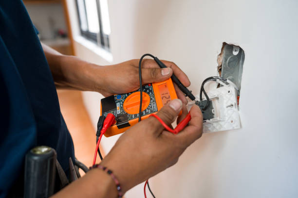Best Electrician for Home Renovation  in Homer, MI