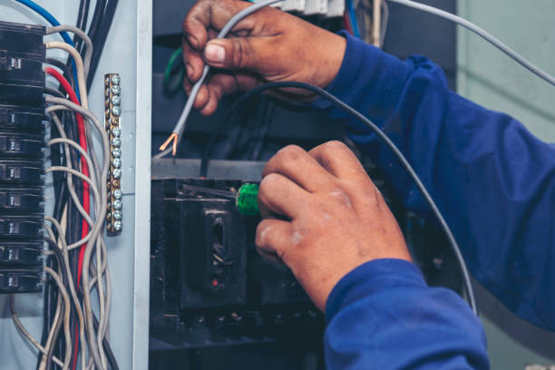 Best Affordable Electrician  in Homer, MI
